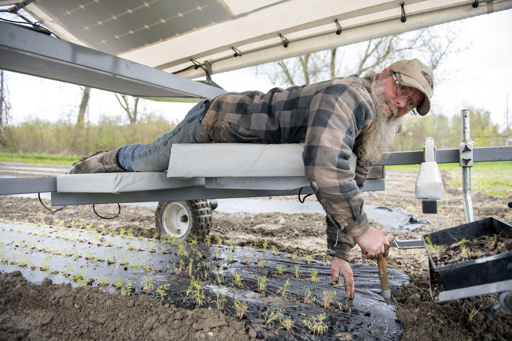Prone to planting